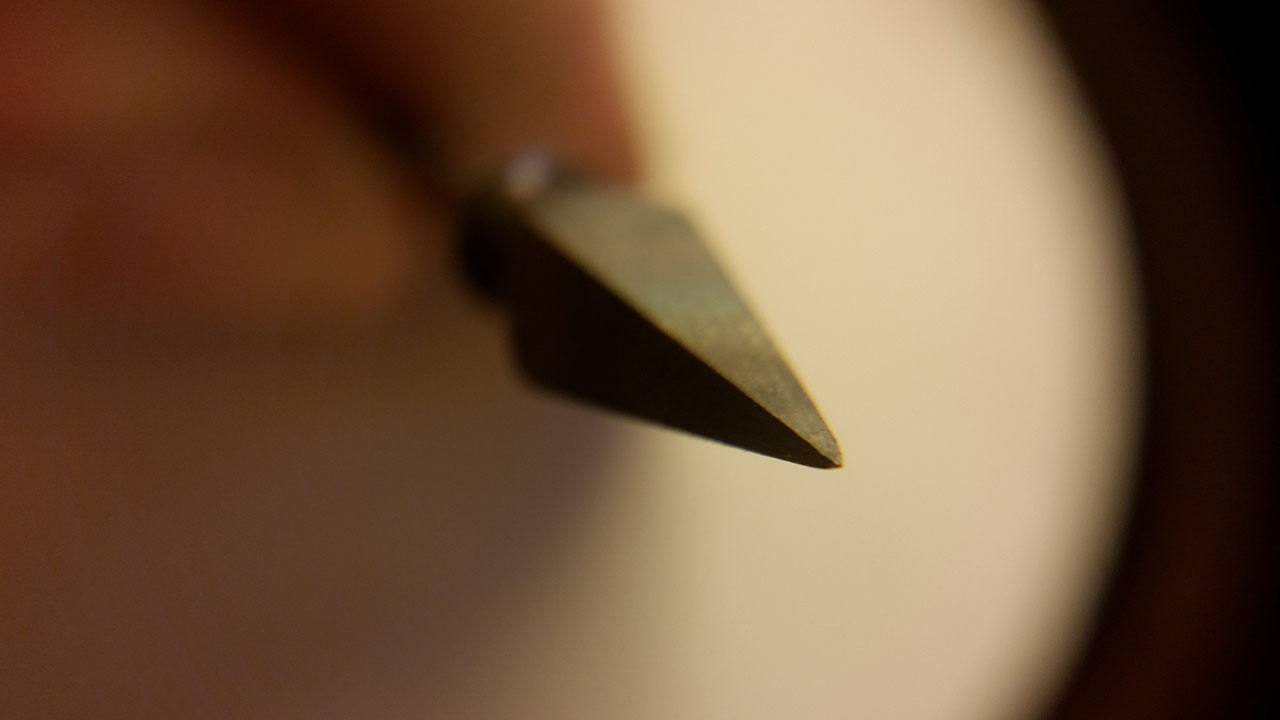 Temren ucunun büyütülmüş görüntüsü