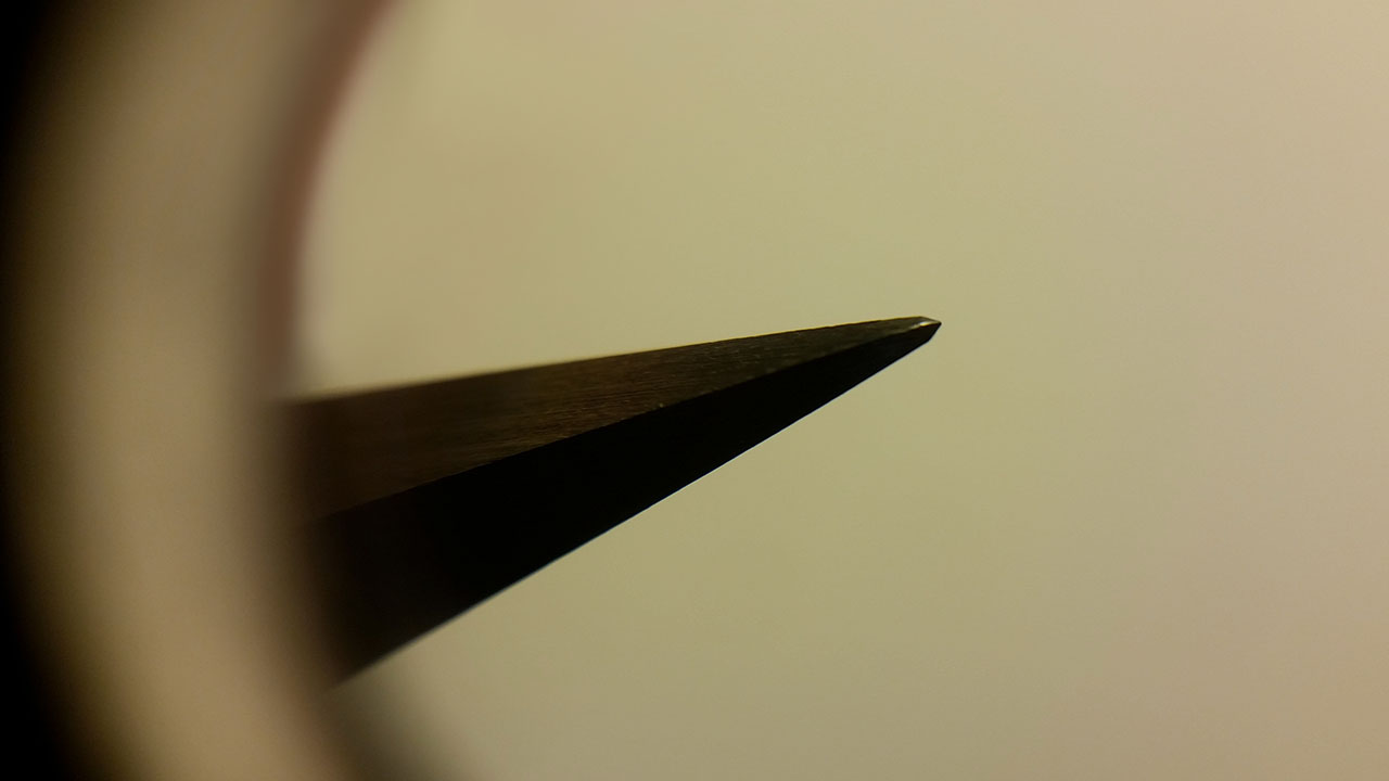 Temren ucunun büyütülmüş görüntüsü