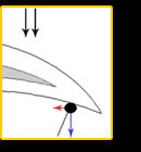 Namlu Dinamiği Üzerine