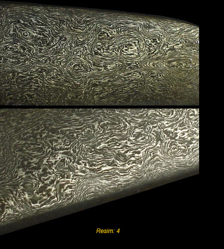 Gül Çiçeği ve Kurt Dişi